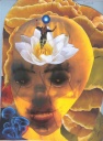 Transice
