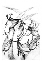 kilie.jpg